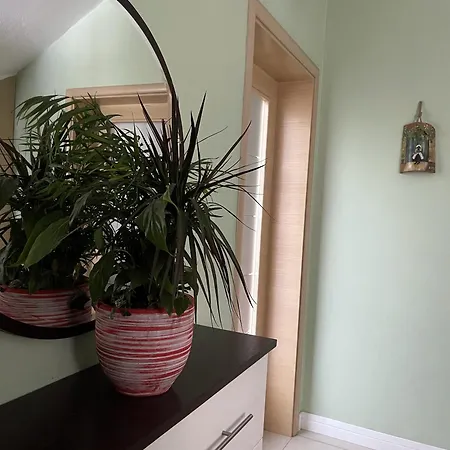 Cozy Family In Сasa de vacaciones Tirana