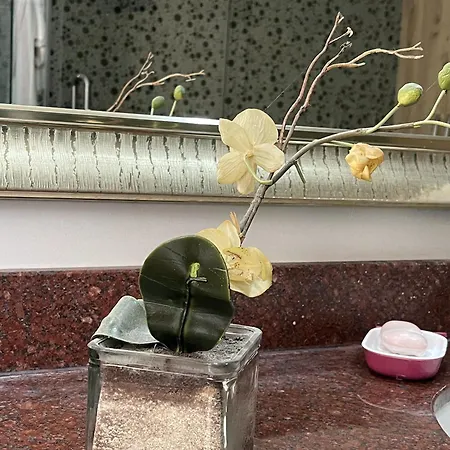 Сasa de vacaciones Cozy Family In