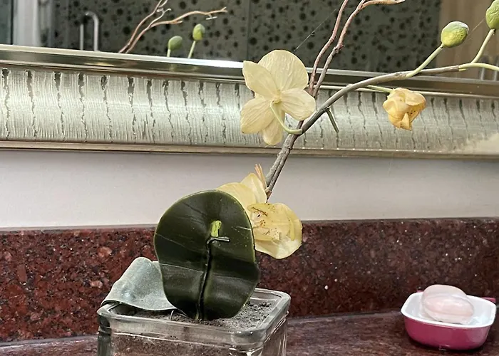 Сasa de vacaciones Cozy Family In