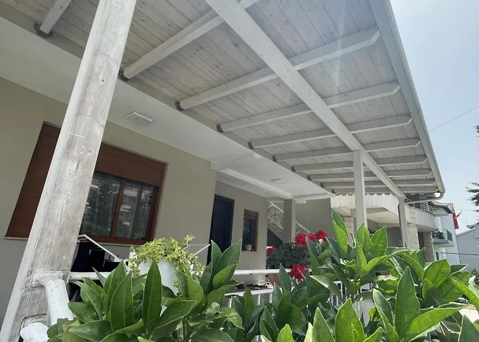 Cozy Family In * Tirana